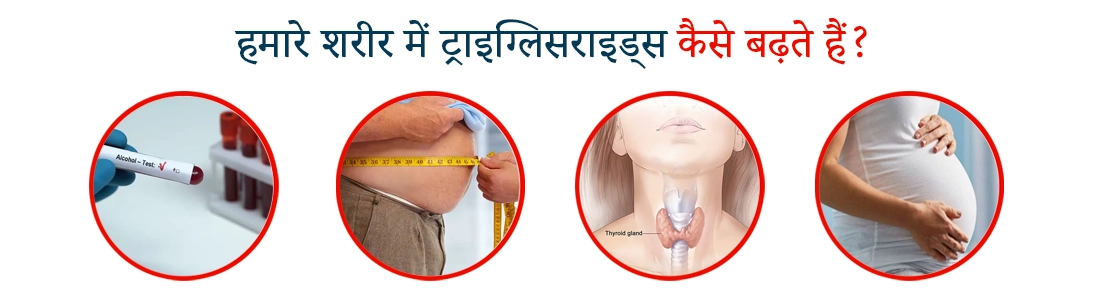 Triglycerides Meaning In Hindi Triglycerides Meaning In Hindi